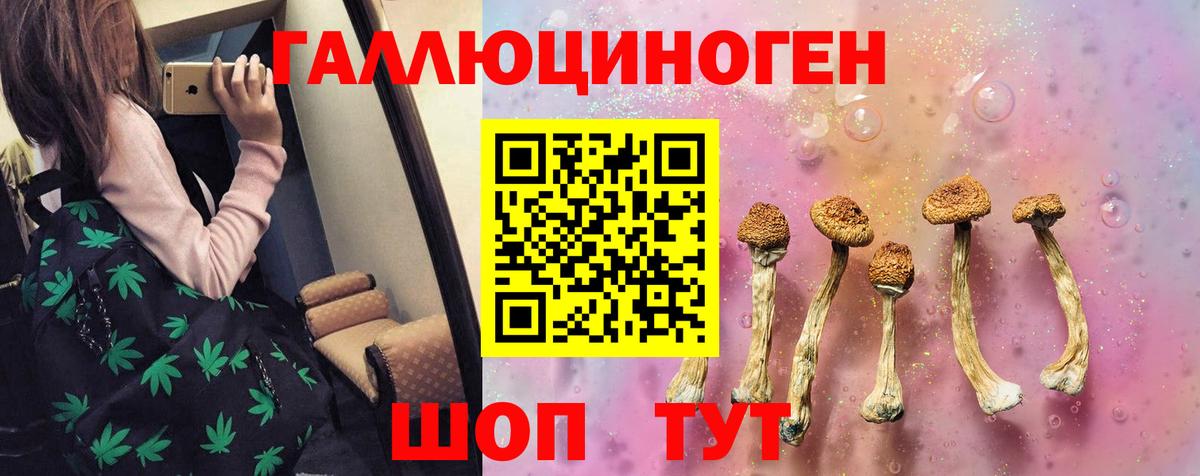 Семёнов  Галлюциногенные грибы ЛСД  наркота  Вход с VPN 